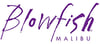 blowfish_Logo